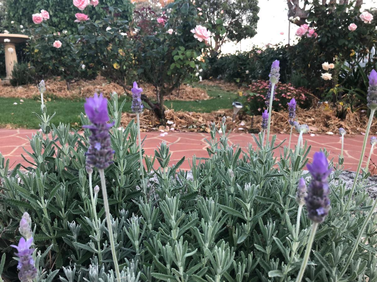 Dunmoylen House Bed and Breakfast Όλμπανι Εξωτερικό φωτογραφία