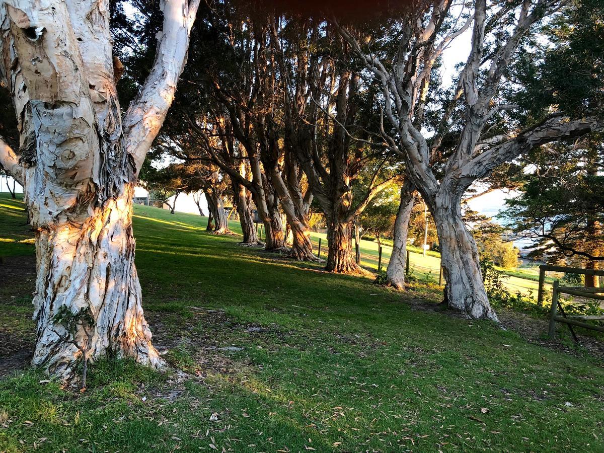 Dunmoylen House Bed and Breakfast Όλμπανι Εξωτερικό φωτογραφία